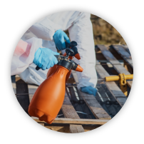 Pallet Chemical Treatment Image